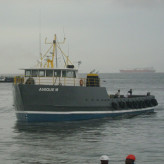 Anique M
